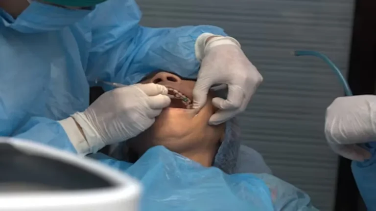 Nerovet AI Dentistry