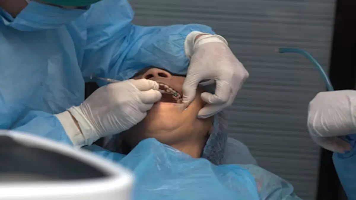 Nerovet AI Dentistry