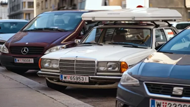 Top Services Offered by Detran PI: From Licensing to Vehicle Registration