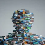 Understanding Anonib: The Rise and Fall of Anonymous Imageboards Anonib