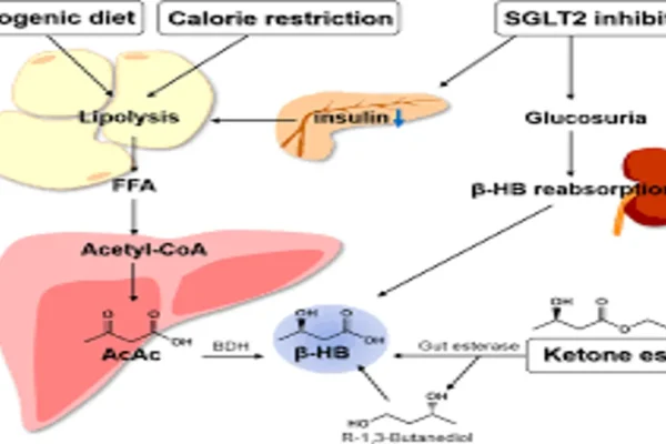 Beta Hydroxybutyrate