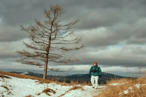 The Storied Life of AJ Fikry