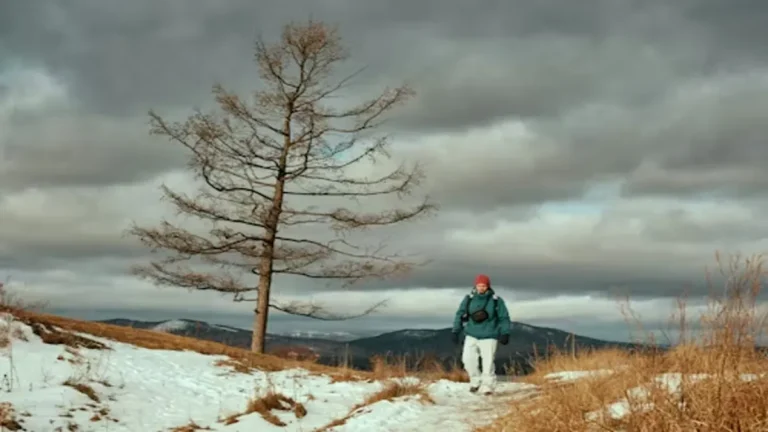 The Storied Life of AJ Fikry