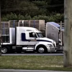 Trucking Company Files Chapter 11