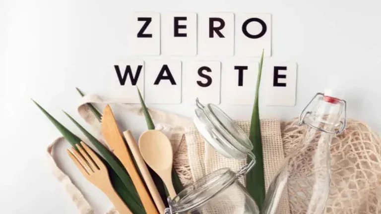 Zero Waste Lifestyle: A Practical Guide to Living Sustainably
